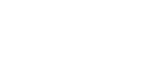 light logo